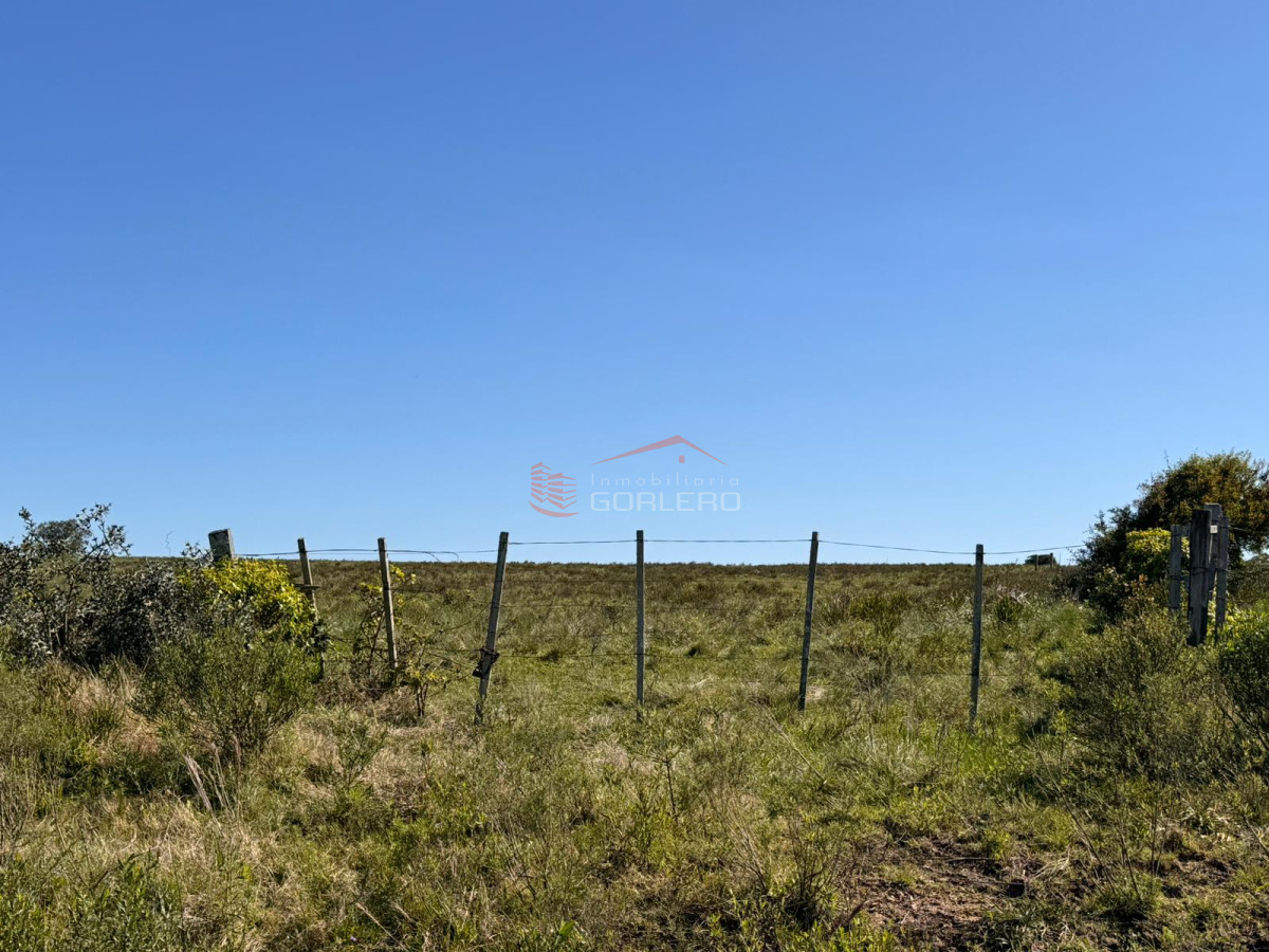 Venta de campo  en Rocha 195 has con arroyo