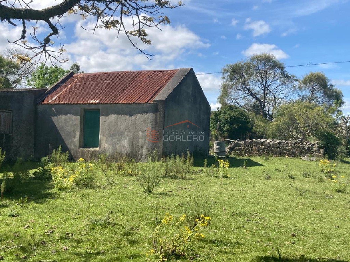 Venta de Campo en Rocha 127 has campo ganadero - GOR29298P