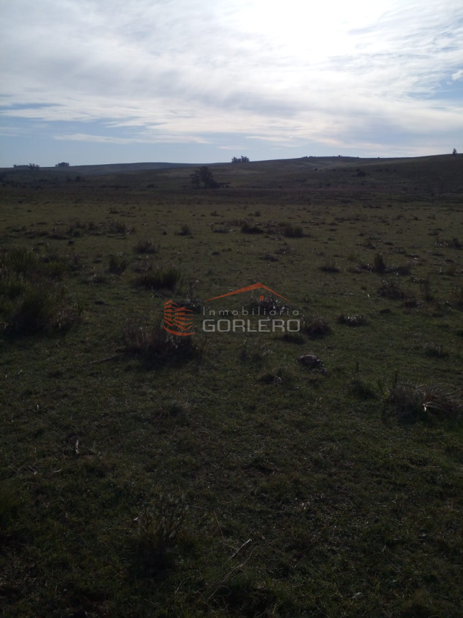 Venta de campo 35 hás Rocha, con mejoras - GoPunta - Portal Inmobiliario de Punta del Este - Maldonado