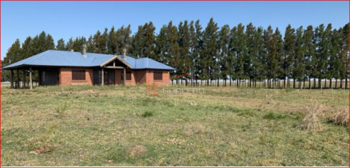 Venta de campo en Paysandú - GoPunta - Portal Inmobiliario de Punta del Este - Maldonado