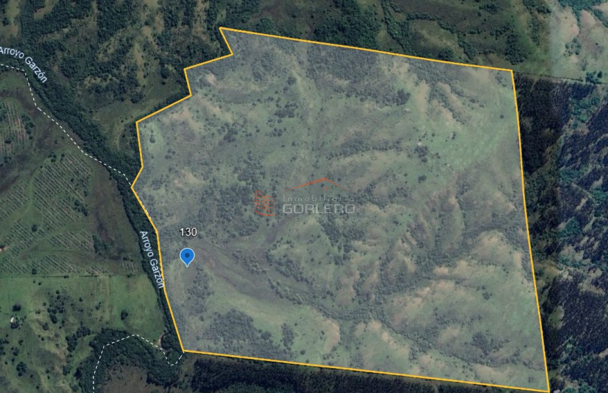 Rocha, Excelente fracción ganadero forestal con 130 hás