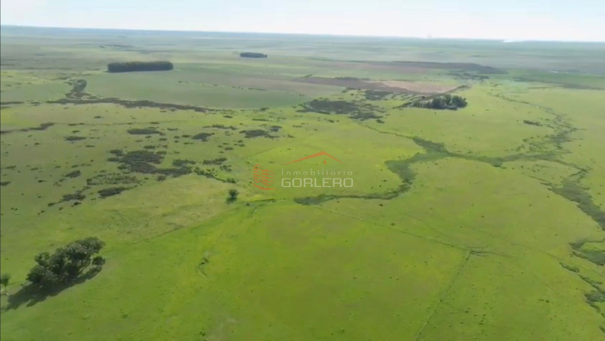 Campo ganadero en zona de Potrero Grande, La Coronilla - GOR30117P