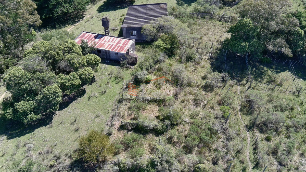Campo sobre Ruta 9 ( doble vía ) costa arroyo, monte nativo, próximo a José Ignacio, ideal para Aras, desarrollo turístico y mas - GOR29803P