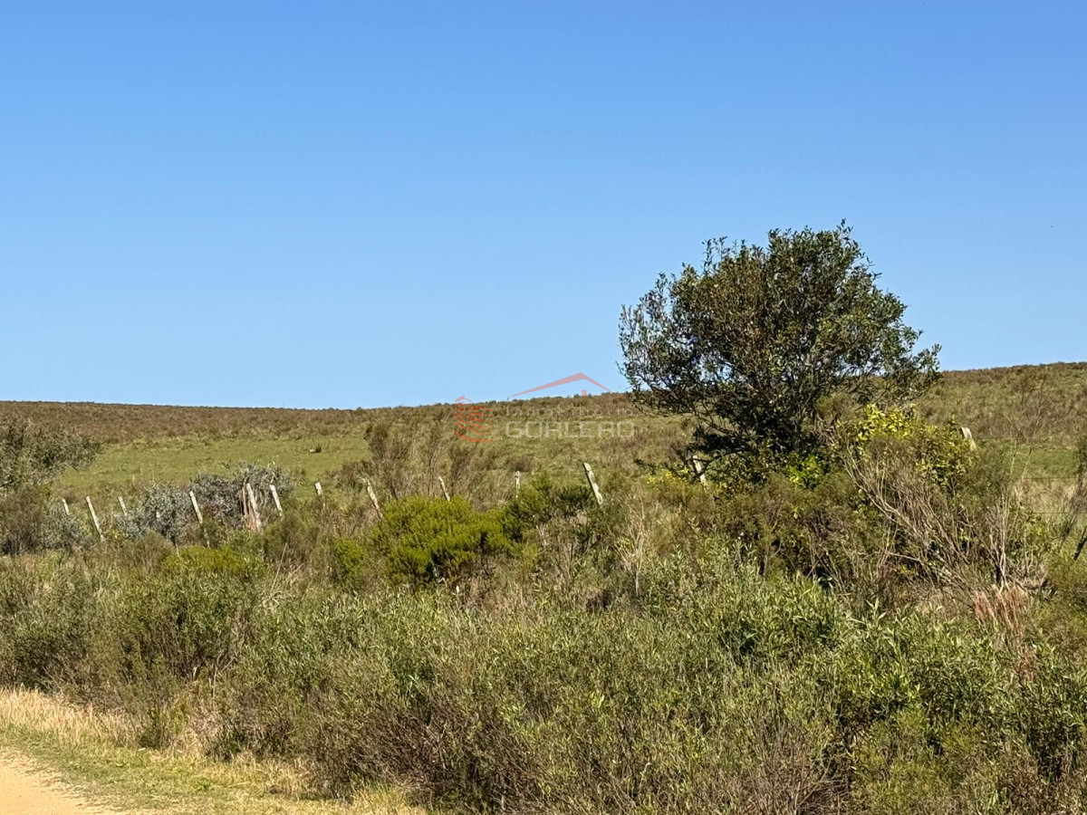 Venta de campo  en Rocha 195 has con arroyo - GoPunta - Portal Inmobiliario de Punta del Este - Maldonado