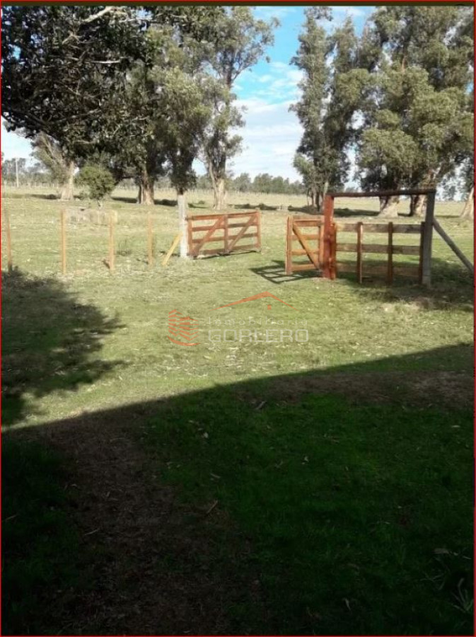 Venta de campo en Lavalleja, 70 hás convivienda - GoPunta - Portal Inmobiliario de Punta del Este - Maldonado