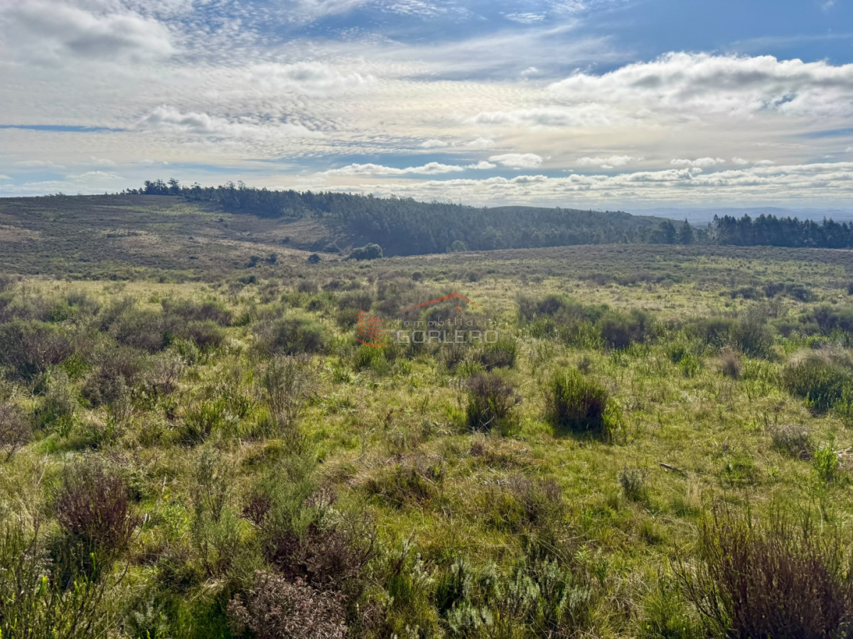 Campo para la venta 242 has a 18 km de Minas  - GOR30204P