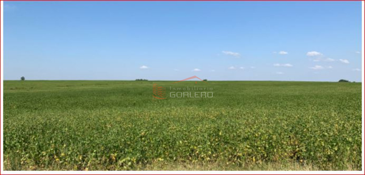 Venta de campo en Paysandú - GoPunta - Portal Inmobiliario de Punta del Este - Maldonado