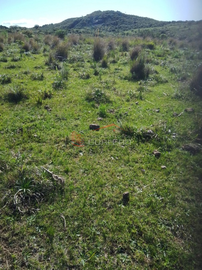 Rocha, campo ganadero con 78 has