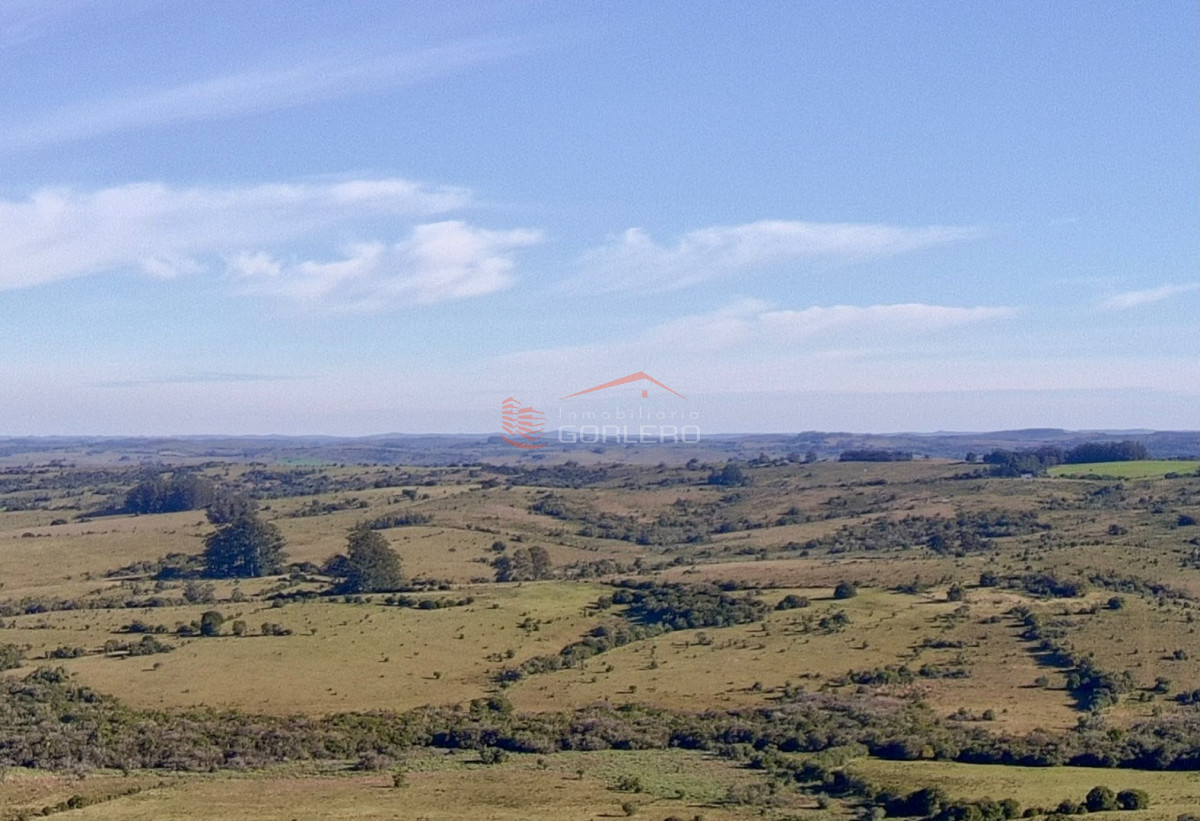Campo de 50,5 hectáreas con costa a arrroyo - GOR29903P