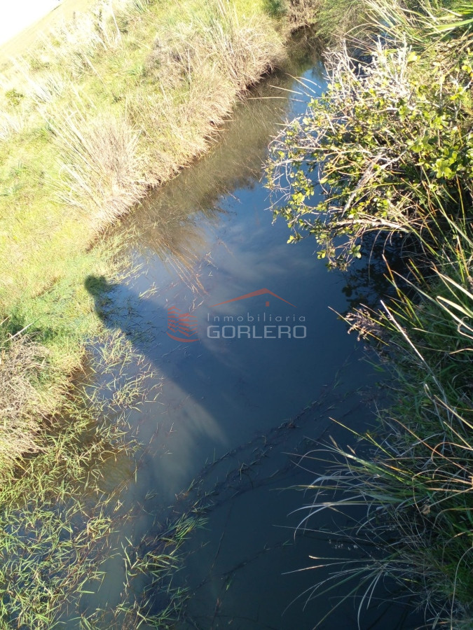 Venta de campo 35 hás Rocha, con mejoras - GoPunta - Portal Inmobiliario de Punta del Este - Maldonado