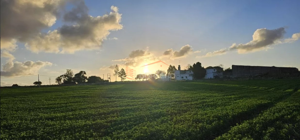 Venta de Campo Agrícola en Canelones, a 100 km de Montevideo, IC 155 con costa arroyo - GoPunta - Portal Inmobiliario de Punta del Este - Maldonado