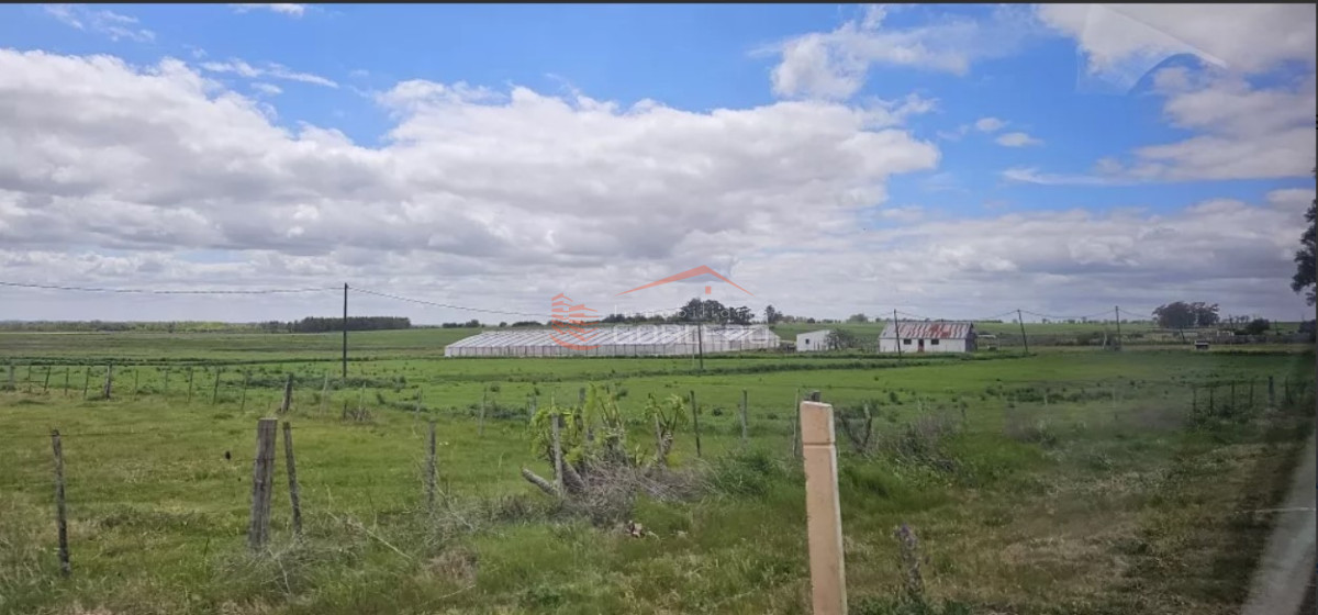Venta de Campo Agrícola en Canelones, a 100 km de Montevideo, IC 155 con costa arroyo