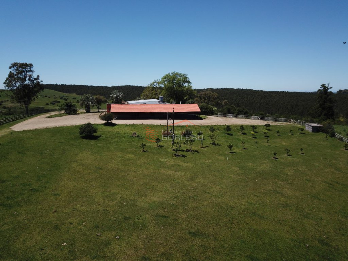 Campo en Uruguay, Rocha, a 30 min  de La Paloma y 1 hora de Punta del Este - GoPunta - Portal Inmobiliario de Punta del Este - Maldonado