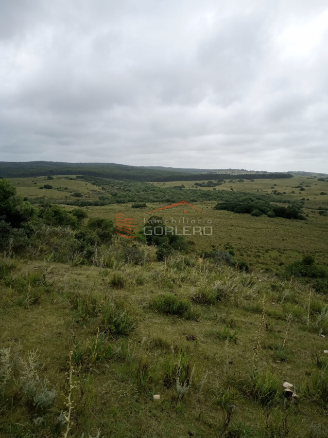 Venta de Campo en Maldonado, 104 - GoPunta - Portal Inmobiliario de Punta del Este - Maldonado