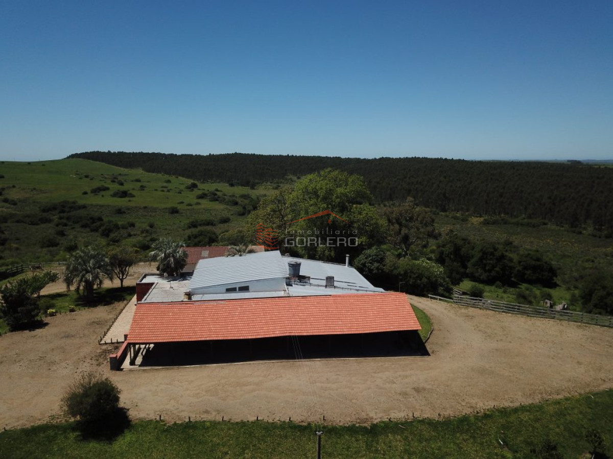 Campo en Uruguay, Rocha, a 30 min  de La Paloma y 1 hora de Punta del Este - GoPunta - Portal Inmobiliario de Punta del Este - Maldonado