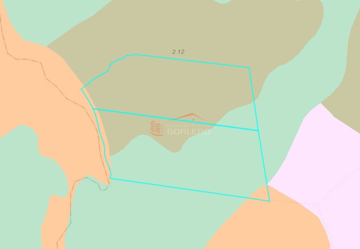 Rocha, Excelente fracción ganadero forestal con 130 hás - GoPunta - Portal Inmobiliario de Punta del Este - Maldonado