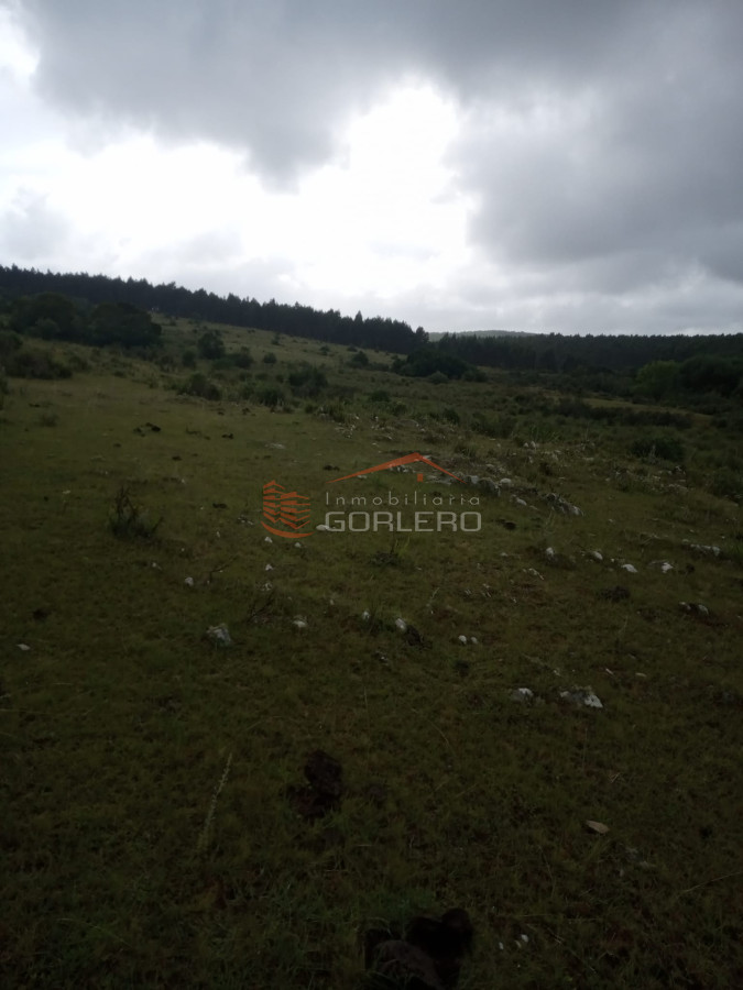 Venta de Campo en Maldonado, 104 - GoPunta - Portal Inmobiliario de Punta del Este - Maldonado