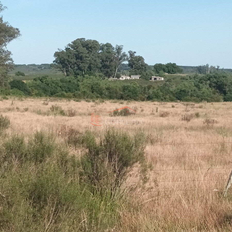 LAVALLEJA, 320 hás zona Zapicán - GOR30408P