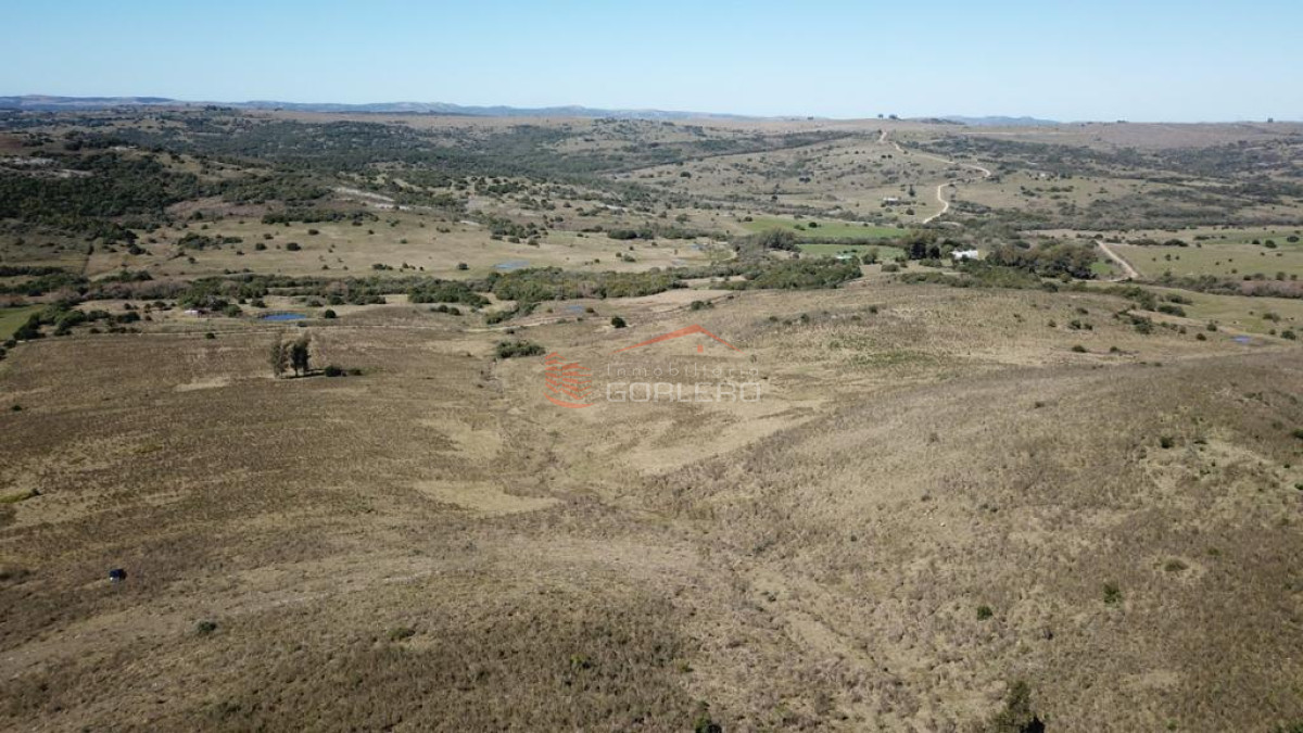 Campo ganadero turístico en Maldonado, 86 has - GoPunta - Portal Inmobiliario de Punta del Este - Maldonado