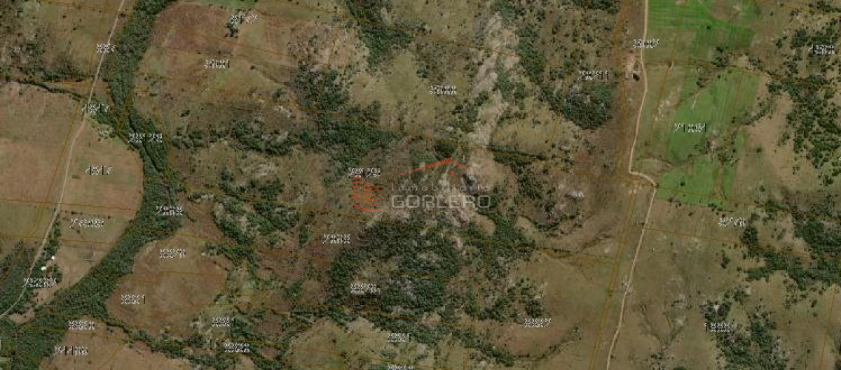 Campo en Maldonado, a 55 km de Punta del Este - GoPunta - Portal Inmobiliario de Punta del Este - Maldonado