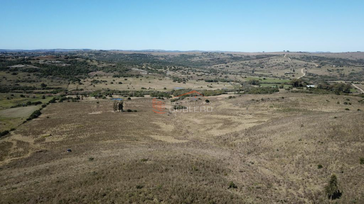 Campo ganadero turístico en Maldonado, 86 has - GoPunta - Portal Inmobiliario de Punta del Este - Maldonado