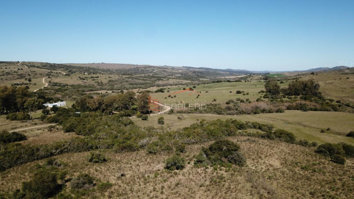 Campo ganadero turístico en Maldonado, 86 has - GoPunta - Portal Inmobiliario de Punta del Este - Maldonado