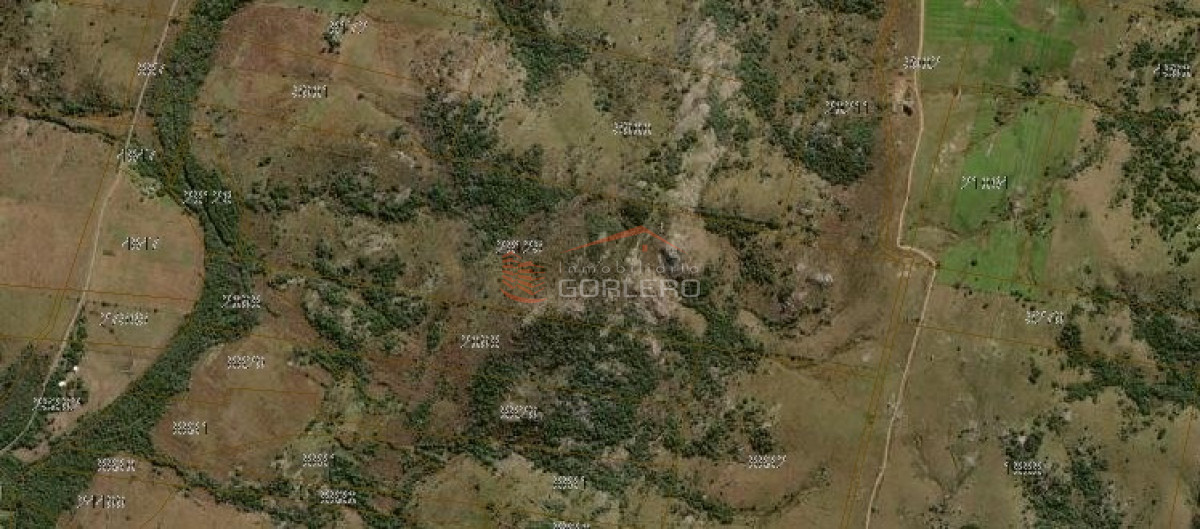 Campo en Maldonado, a 55 km de Punta del Este - GoPunta - Portal Inmobiliario de Punta del Este - Maldonado