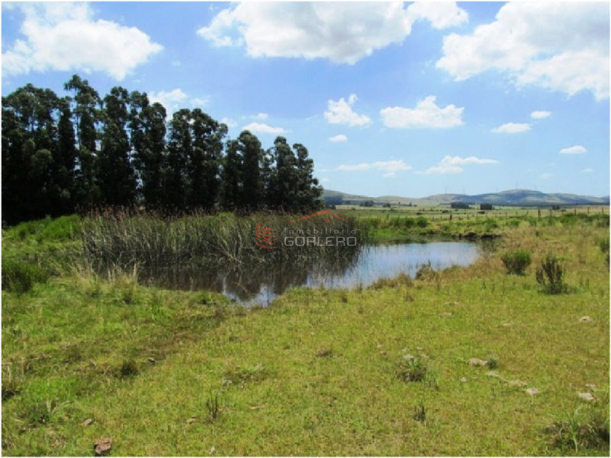 Chacra en Venta en Uruguay, a 30 km de Punta del Este, con vivienda - GoPunta - Portal Inmobiliario de Punta del Este - Maldonado