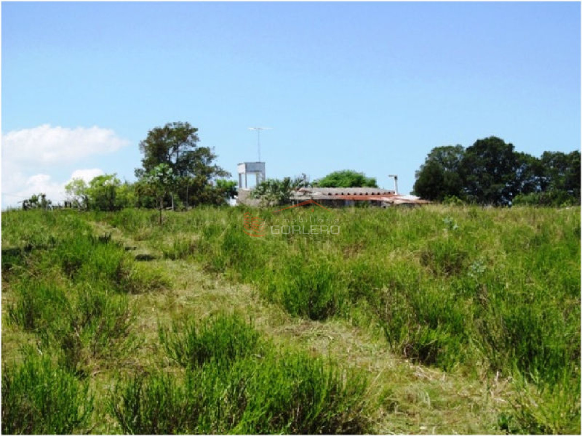 Chacra en Venta en Uruguay, a 30 km de Punta del Este, con vivienda - GoPunta - Portal Inmobiliario de Punta del Este - Maldonado