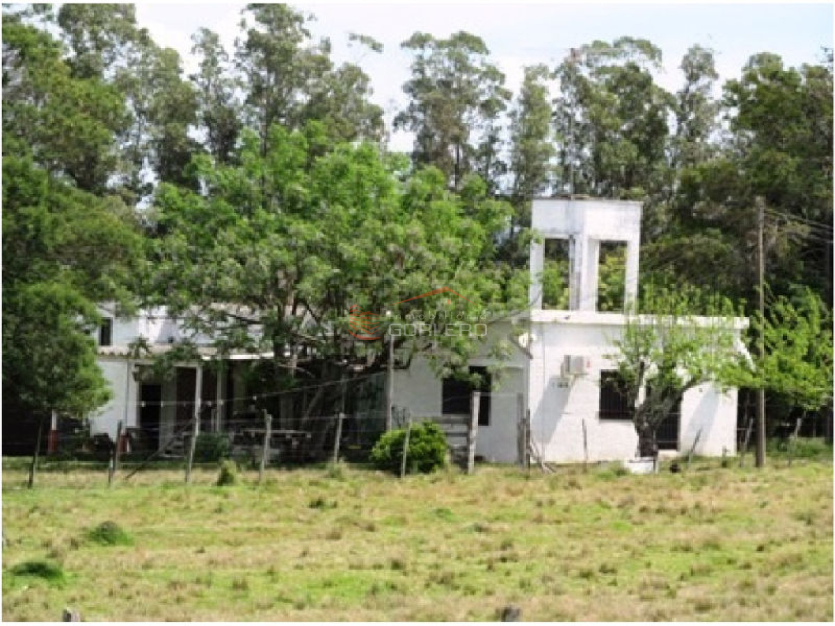 Chacra en Venta en Uruguay, a 30 km de Punta del Este, con vivienda - GoPunta - Portal Inmobiliario de Punta del Este - Maldonado