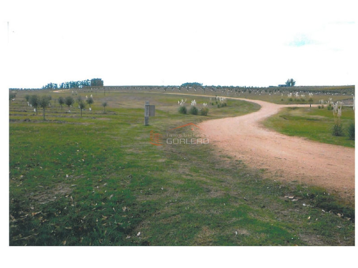 Campo en Uruguay, Chacra Turística, Rocha - GoPunta - Portal Inmobiliario de Punta del Este - Maldonado