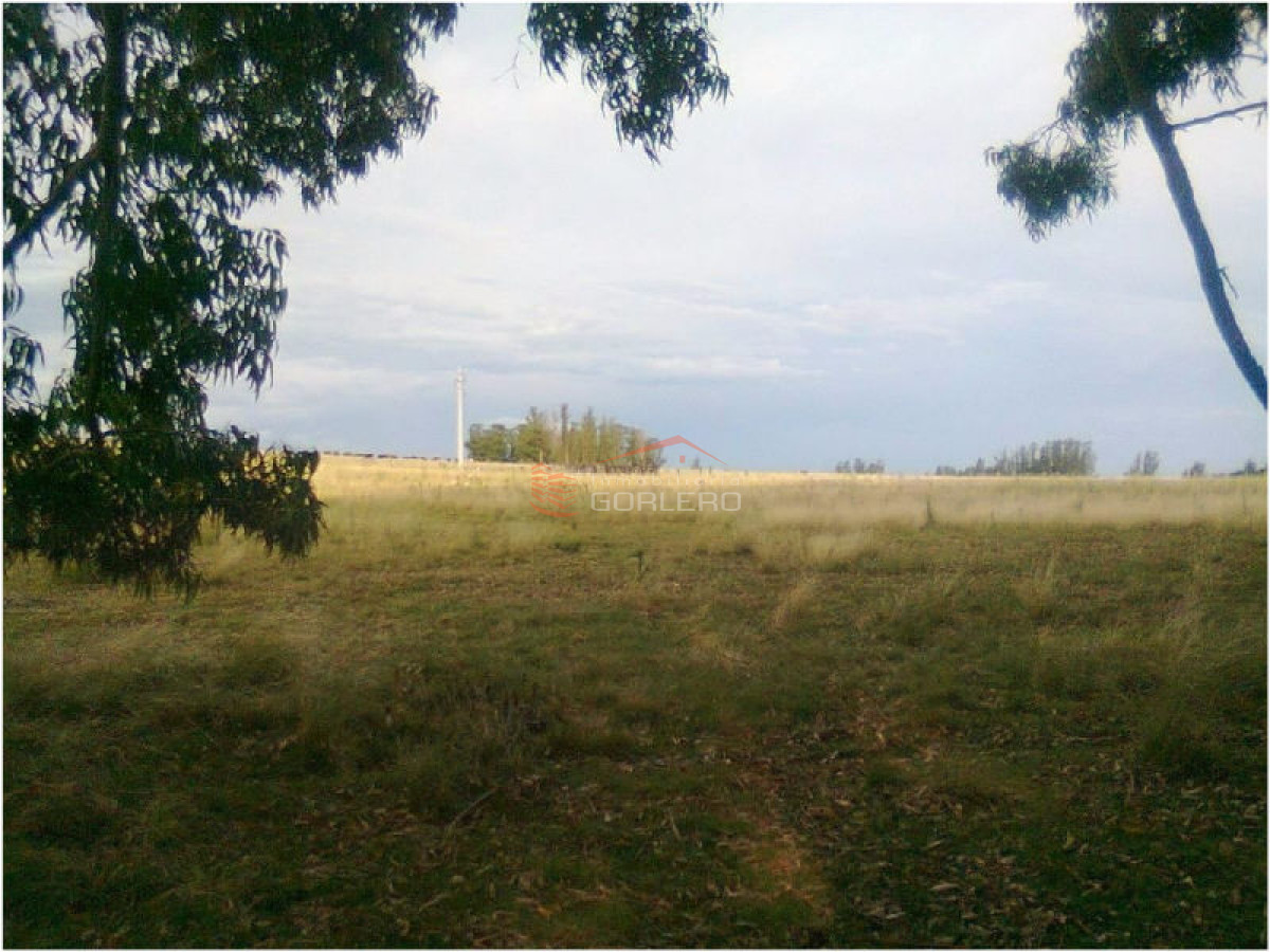 Campo 100 has Agricola Ganadero a 20 minutos de Punta y 1 hora de Mdeo - GoPunta - Portal Inmobiliario de Punta del Este - Maldonado