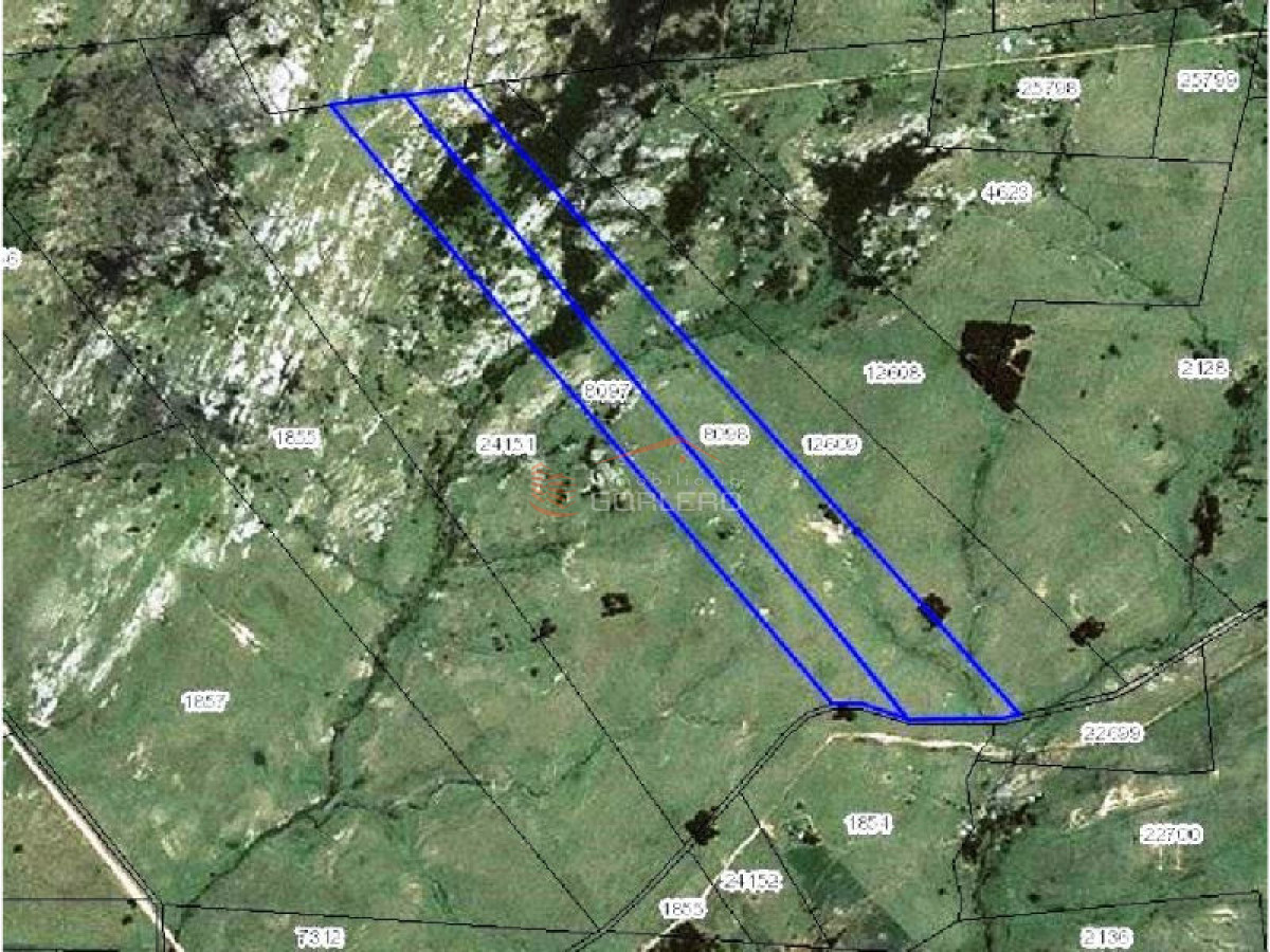 Campo en Venta en  Maldonado - GoPunta - Portal Inmobiliario de Punta del Este - Maldonado