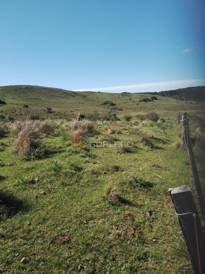 Rocha, campo ganadero con 78 has - GOR26956P