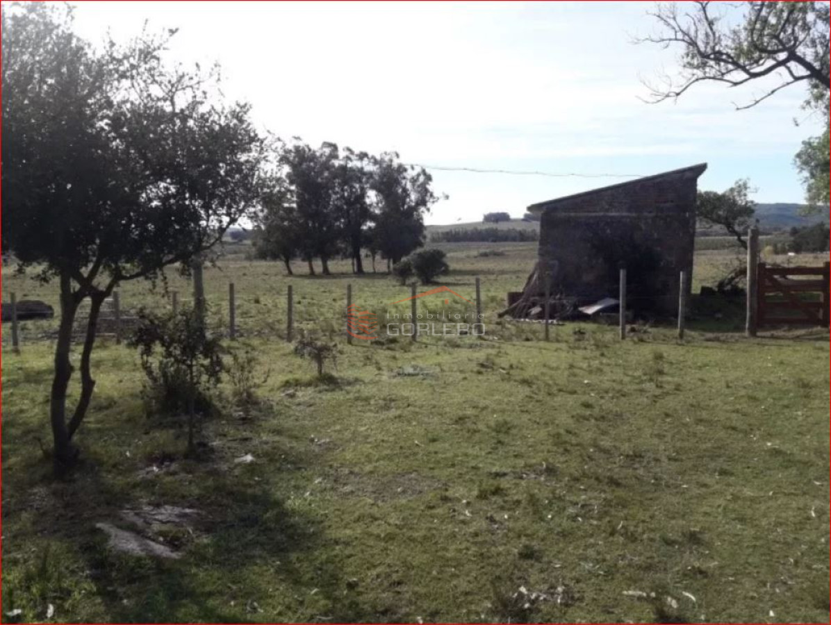 Venta de campo en Lavalleja, 70 hás convivienda - GoPunta - Portal Inmobiliario de Punta del Este - Maldonado