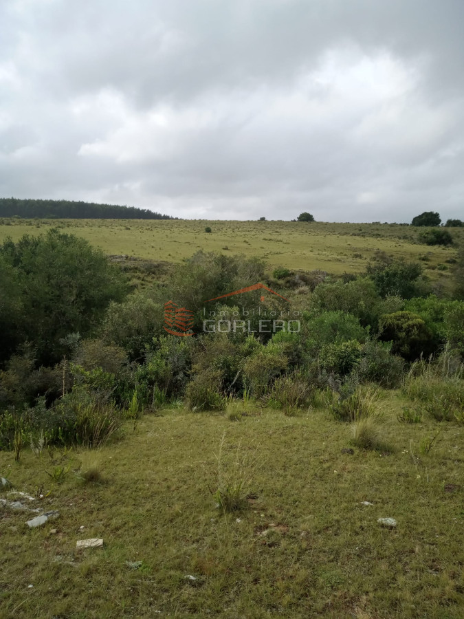 Venta de Campo en Maldonado, 104 - GoPunta - Portal Inmobiliario de Punta del Este - Maldonado