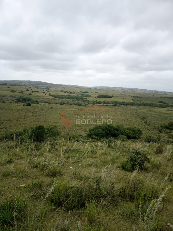 Venta de Campo en Maldonado, 104 - GoPunta - Portal Inmobiliario de Punta del Este - Maldonado