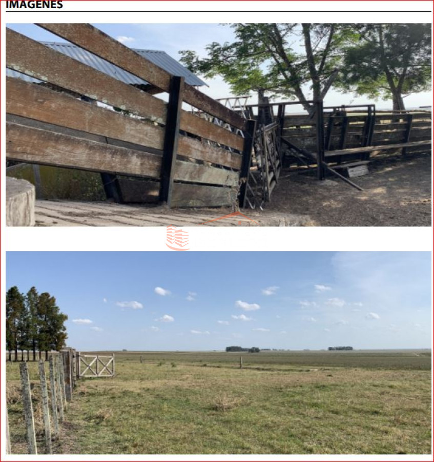 Venta de campo en Paysandú - GoPunta - Portal Inmobiliario de Punta del Este - Maldonado