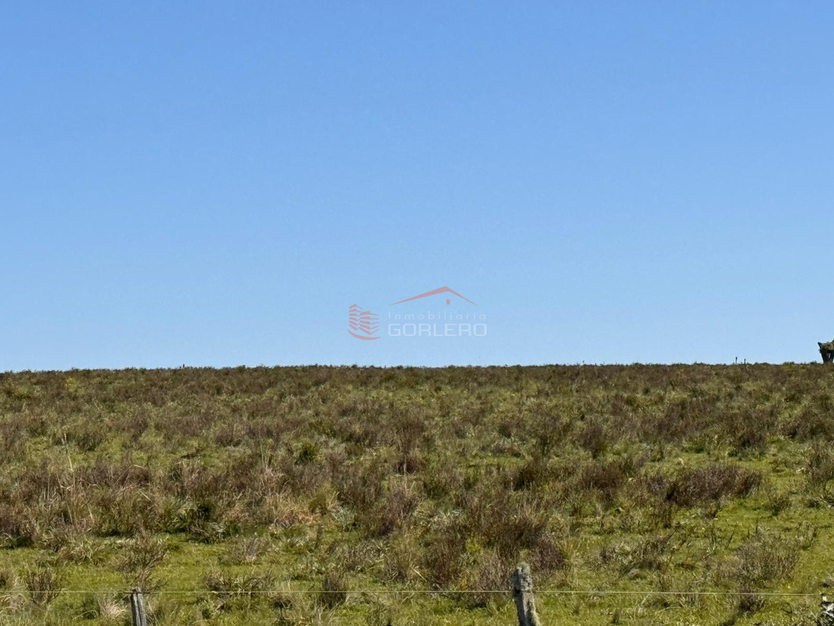 Venta de campo  en Rocha 195 has con arroyo - GoPunta - Portal Inmobiliario de Punta del Este - Maldonado