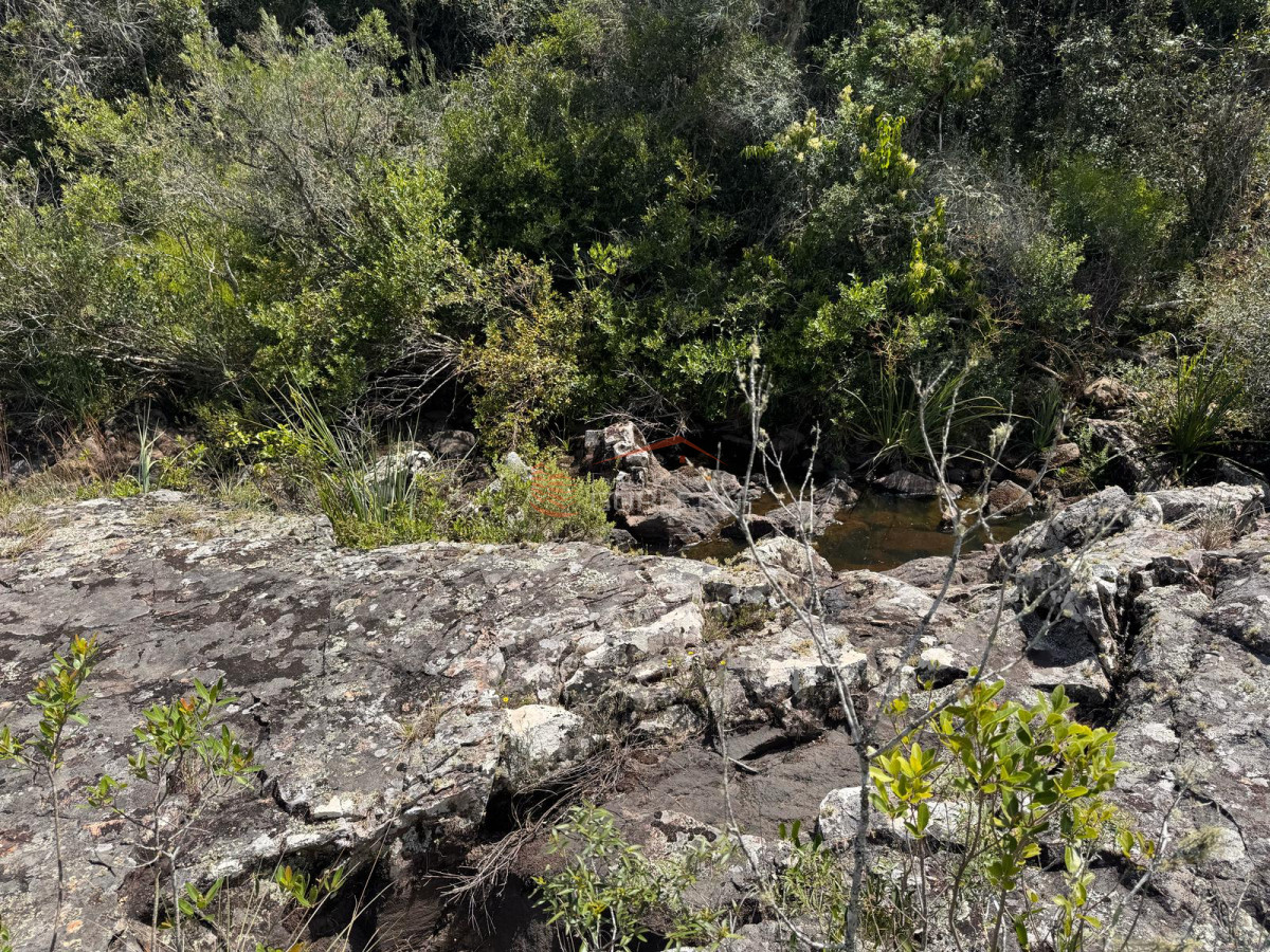 Campo en Lavalleja, zona Campanero, 30 has con cañadas permanente - GoPunta - Portal Inmobiliario de Punta del Este - Maldonado