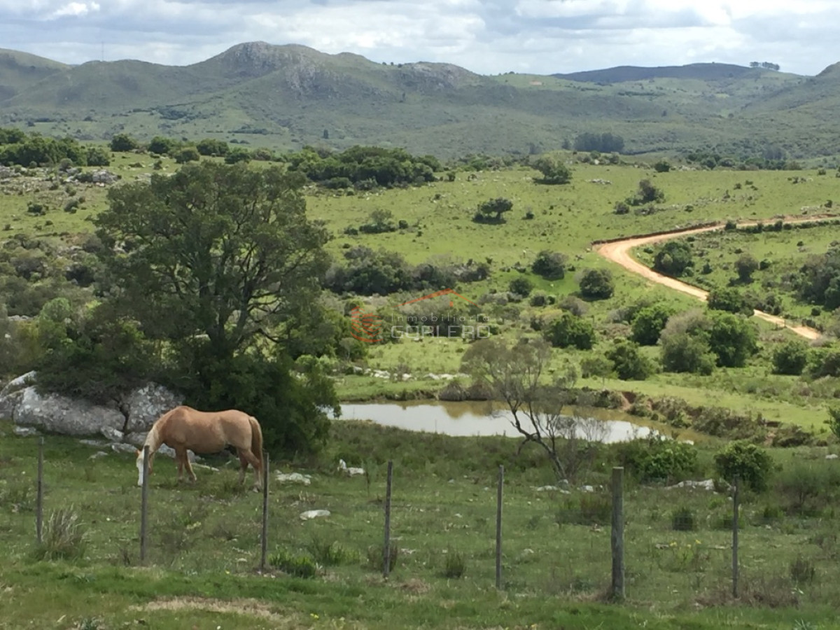 Venta de campo 25 hás a pocos km de Ruta 12, Espectacular paisaje! - GoPunta - Portal Inmobiliario de Punta del Este - Maldonado