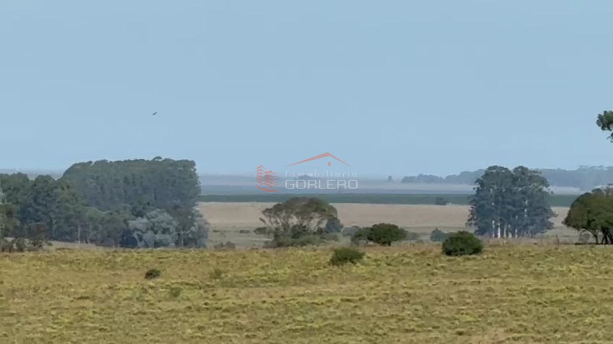 Venta de campo en Rocha, a pocos km de Garzón y de ciudad de Rocha - GoPunta - Portal Inmobiliario de Punta del Este - Maldonado