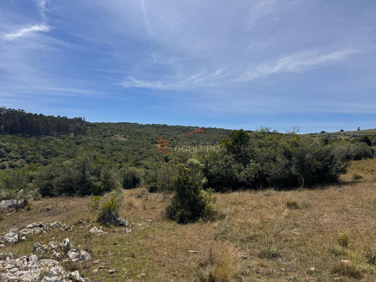 Campo en Lavalleja, zona Campanero, 30 has con cañadas permanente - GoPunta - Portal Inmobiliario de Punta del Este - Maldonado