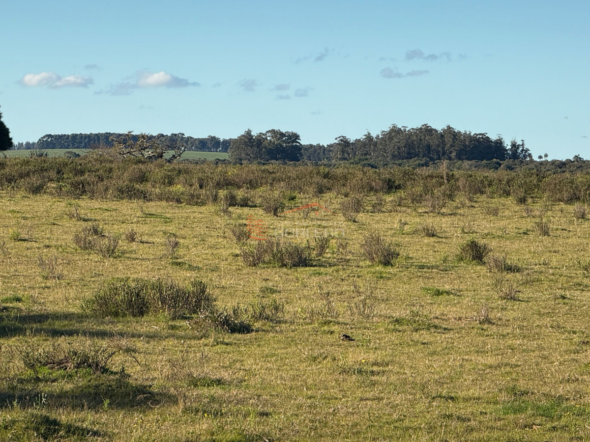 Campo en Venta en  Rocha,  Excelente ubicación, con arroyo, mejorado - GoPunta - Portal Inmobiliario de Punta del Este - Maldonado