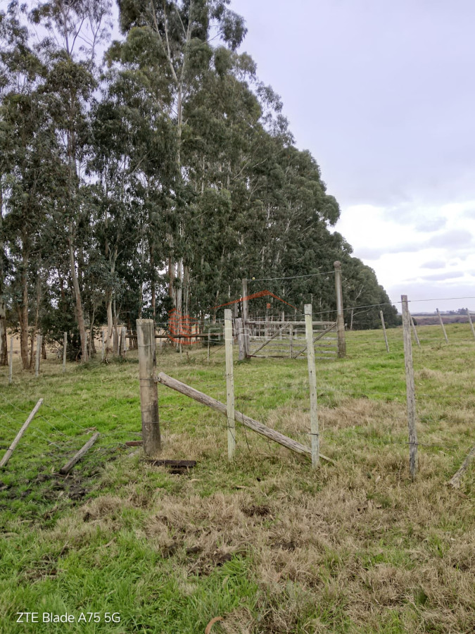 Oportunidad Chacra de 18 has a solo 20 Minutos de San Carlos - GoPunta - Portal Inmobiliario de Punta del Este - Maldonado