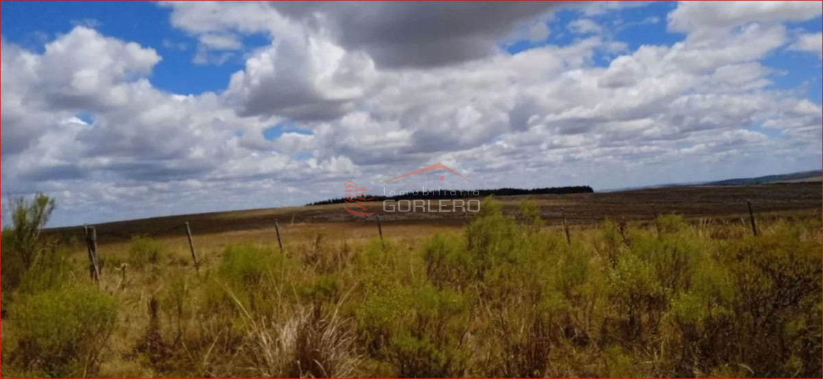 Lavalleja, 100 hás - GoPunta - Portal Inmobiliario de Punta del Este - Maldonado