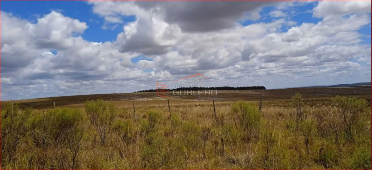 Lavalleja, 100 hás - GoPunta - Portal Inmobiliario de Punta del Este - Maldonado