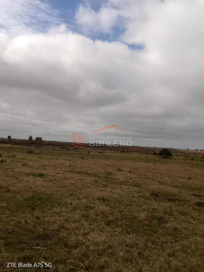 Oportunidad Chacra de 18 has a solo 20 Minutos de San Carlos - GoPunta - Portal Inmobiliario de Punta del Este - Maldonado