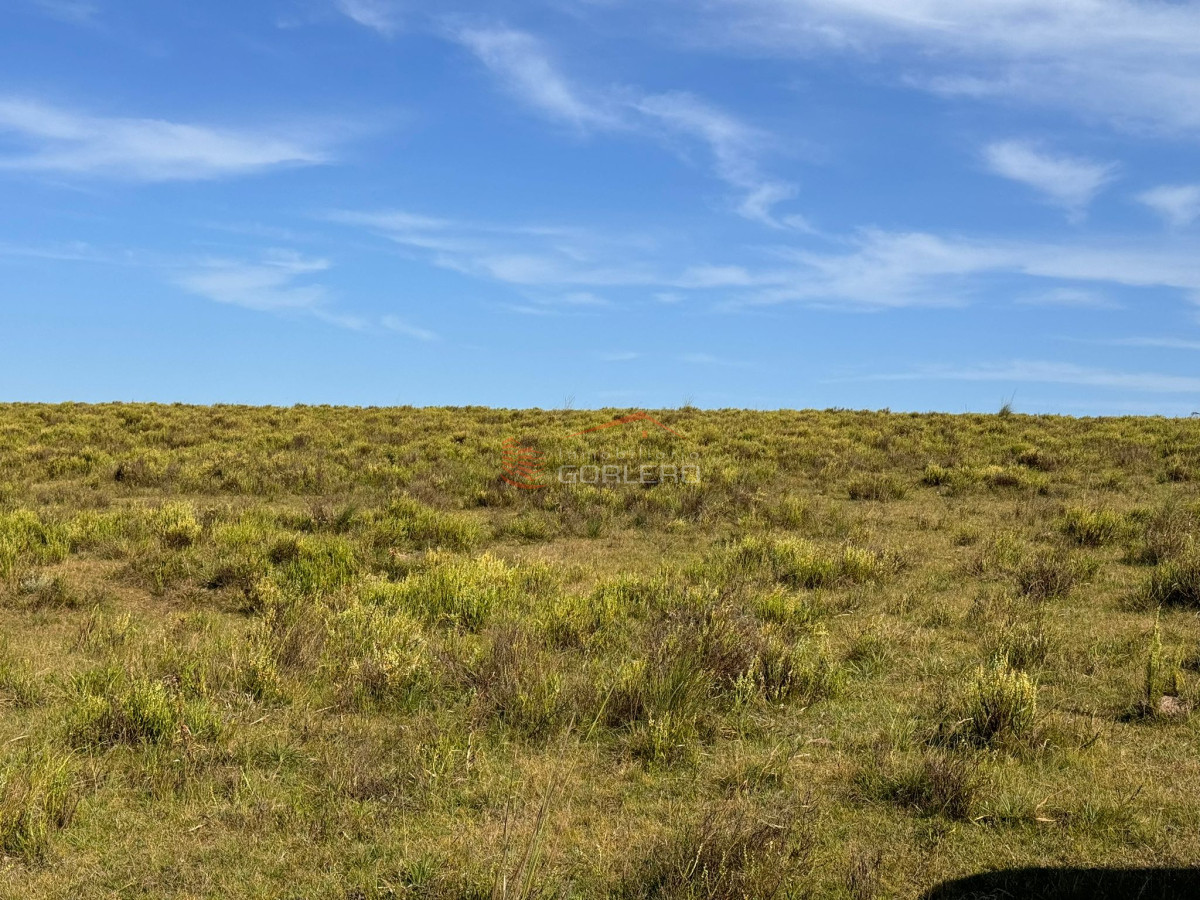 Venta de campo en Rocha, a pocos km de Garzón y de ciudad de Rocha - GoPunta - Portal Inmobiliario de Punta del Este - Maldonado