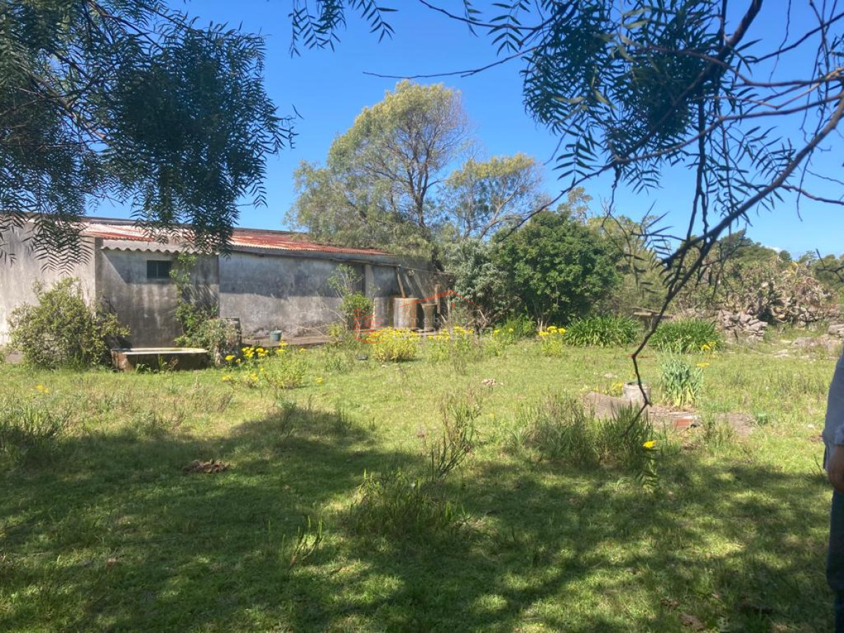 Venta de Campo en Rocha 127 has campo ganadero - GoPunta - Portal Inmobiliario de Punta del Este - Maldonado